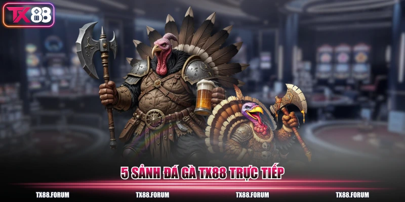 Chuyên Mục Đá Gà TX88 - 5 Sảnh Trực Tiếp, 200 Trận Mỗi Ngày 1 5 sảnh đá gà TX88 trực tiếp