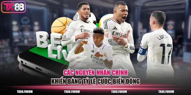 Các nguyên nhân chính khiến bảng tỷ lệ cược biến động