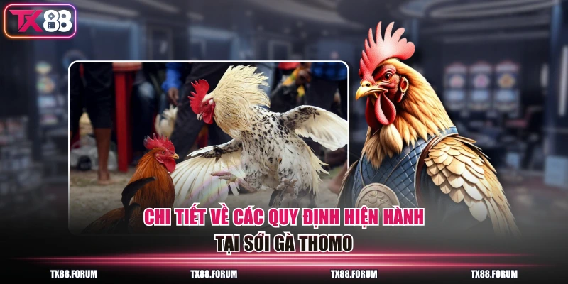 Đá Gà Thomo - Sân Chơi Đẳng Cấp Với 100 Trận Đấu Mỗi Ngày 3 Chi tiết về các quy định hiện hành tại sới gà Thomo