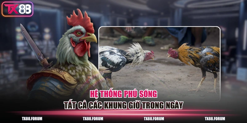 Chuyên Mục Đá Gà TX88 - 5 Sảnh Trực Tiếp, 200 Trận Mỗi Ngày 4 Hệ thống phủ sóng tất cả các khung giờ trong ngày